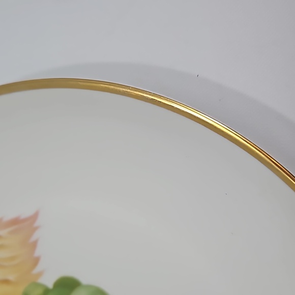 Vintage H&B Selb Bavaria Heinrich Fruit Plates Set of 5 - Picture 2 of 5